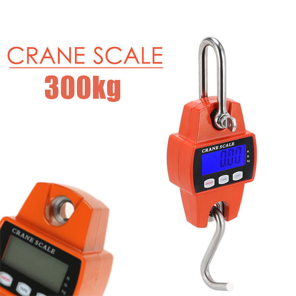 Digital Crane Scale 300kg 0.1kg