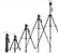 Yunteng VCT-880RM Tripod Maximum Mobile Accessories