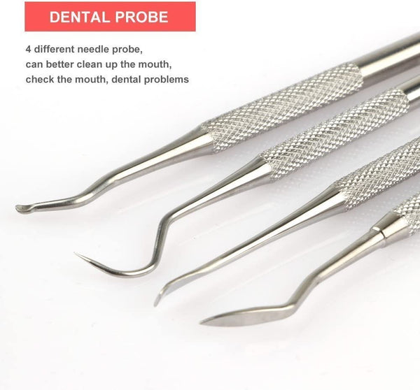 6pcs Stainless Dental Tools Set Kit W/ Bag (FS22)