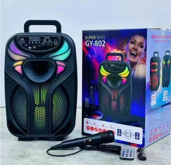 New Arrival Party Speaker Portable Bluetooth with Mic Karaok