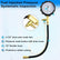 Fuel Injector Pump Pressure Tester with Gauge Adapter Automotive Tools