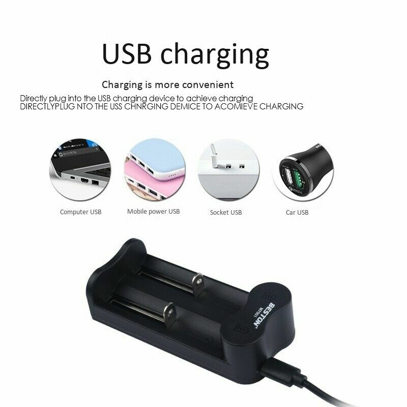 Beston 2 Ports Li-ion Battery USB Charger Power supply/Charger