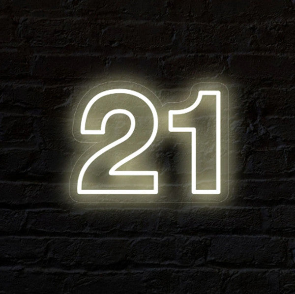 Twenty One 21 Birthday Party LED Neon Sign Beer Bar Pub Club Room Wal ...