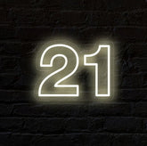60x35cm Twenty One 21 Birthday 12V Ready-Made LED Signs