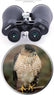 Bossdun Heavy-duty 20x 80mm Wildlife Binocular Outdoor Gear