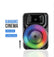 Portable Bluetooth Party Speaker W/ wired Microphone Party Effects