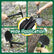 Military Army Folding Shovel Survival Spade LS128 Outdoor Gear