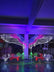 LED 10M Rope Light Party Effects