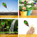 4 in 1 Soil PH Tester DIY & Home Tools