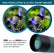 15-45 X 50 Bossdun  W/Tripod Phone Adapter Spotting Bird Scope QS210BAK4 Outdoor Gear