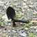 Military Army Folding Shovel Survival Spade LS128 Outdoor Gear
