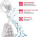 Heavy Duty Suction Cup Hooks Home Essentials
