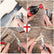Multi Tools Camping Pocket Knife Pliers Multitool GS29 DIY & Home Tools