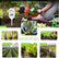 4-in-1 Soil Nutrients Light Moisture pH Meter Tester No Battery Required DIY & Home Tools