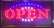 OPEN LED NEON Sign 48X25cm Ready-Made LED Signs