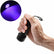 395nm 21 LED Blacklight UV Flashlight Torch Outdoor Gear