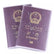 Passport Cover Transparent Clear or Frosted Protector Travel Holder Carry Case Home Essentials