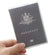 Passport Cover Transparent Clear or Frosted Protector Travel Holder Carry Case Home Essentials