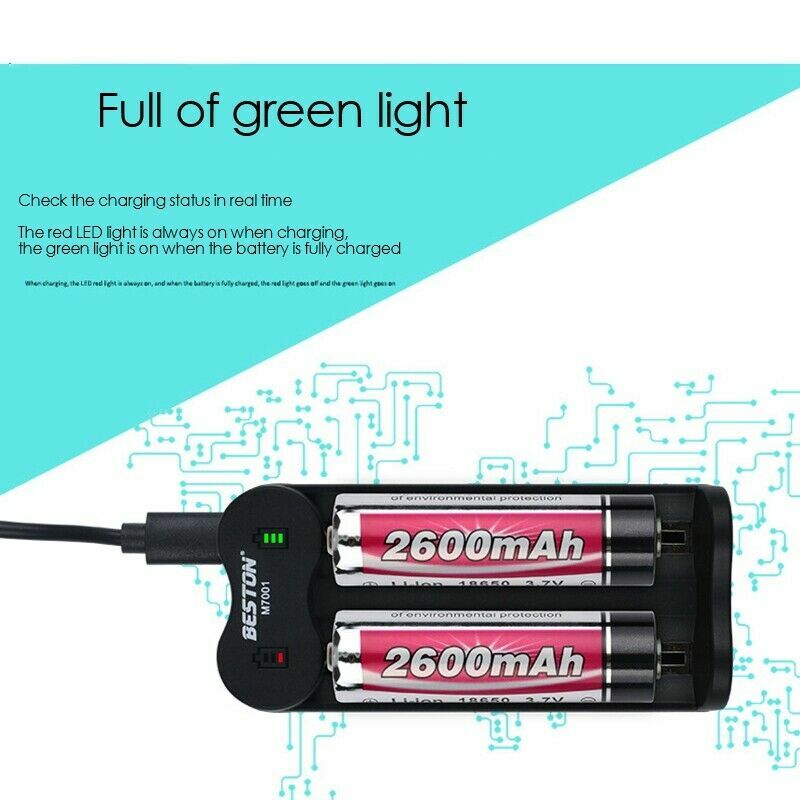 Beston 2 Ports Li-ion Battery USB Charger Power supply/Charger
