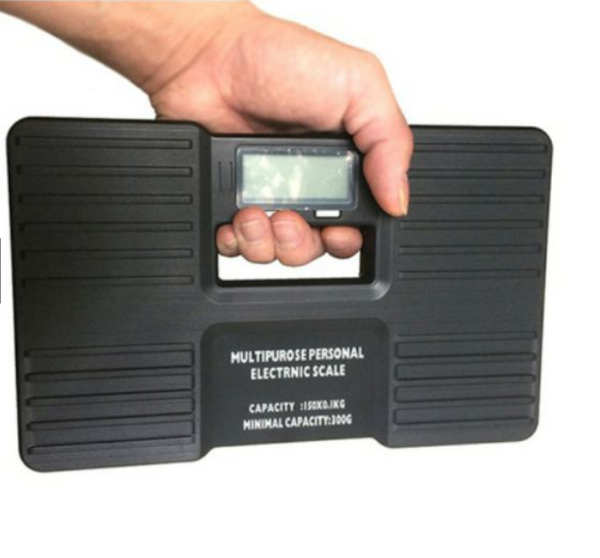 Portable Personal Body Scale