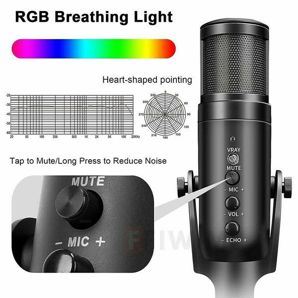 USB-C Condenser Microphone Stand Gaming Live Streaming RGB Light For PC Laptop