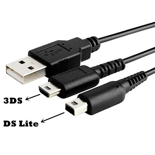 2in1 Charging Charger USB Cable for Nintendo 3DS XL LL DS Lite DSi XL LL 2DS XL For PC Pros